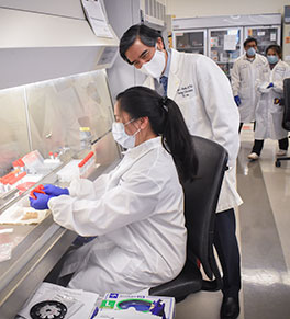 UCI Health pathology chief Dr. Edwin S. Monuki consults with laboratory scientist Jeanie Garcia as she processes a COVID-19 test sample.
