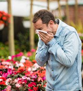 man sneezing near flowers during springtime allergy season
