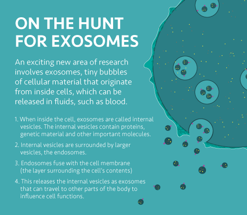 infographic about exosomes