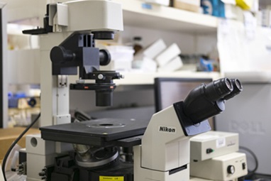 microscope for viewing blood tests