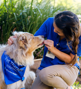 pet therapy