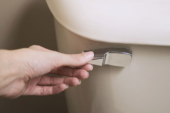 person flushing the toilet