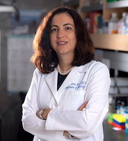 Dr. Daniela Bota, who leads the UCI Center for Clinical Research, in her lab