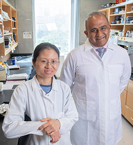 Project scientist Linh Vuong and melanoma researcher Dr. Anand Ganesan in their lab.