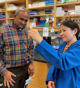 Dr. Anand K. Ganesan, left, and Dr. Jessica Shiu are UCI HEalth dermatologists whose research efforts are aimed at reversing vitligo, an autoimmune skin disease that causes white patches where it has destroyed pigment-making cells., leaving patches are conducting research llaborators Jvitiligolabganesanshiulab01264x291