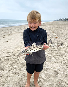 Steve Mellem captures grandson Nixon's delight at a baby leopard shark they recently caught and released at a San Clemente beach.