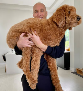 uci health kidney donor chris checchio holding his golden doodle 