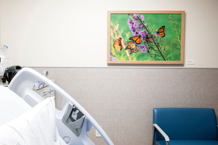 art featuring orange butterflies in one of the patient rooms at uci health — irvine