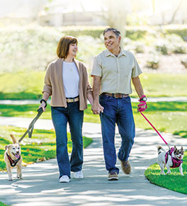 Kidney transplant patient Karen Patterson, left, and her husband Greg Patterson walk their dogs at a park.