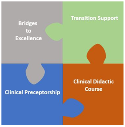 Experienced Nurse Transition to Practice Diagram