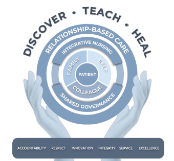 Professional Practice Model