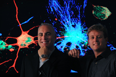 Neurobiologists Frank LaFerla and Mathew Blurton-Jones study how stem cells restore memory in Alzheimer’s disease.