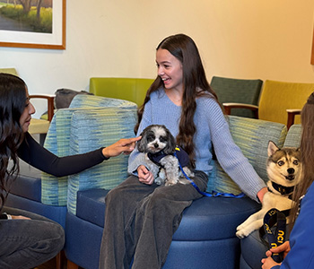 A joyful Lauren Torres sits with Lulu and Pixel, the pet therapy dogs.