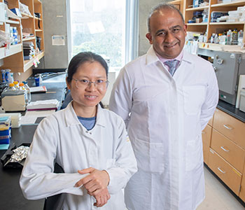 Linh Vuons, PhD, at left, poses with Dr. Anand Ganesan in the lab where they study the molecular signaling between skin cell types that lead to cancer and skin diseases.