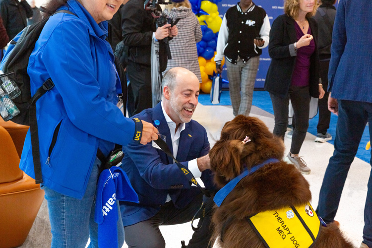 uci health president and ceo chad lefteris pets one of the uci health volunteer services therapy dogs a brown newfoundland at the community unveiling of the uci health — irvine acute care hospital on saturday november 15