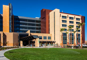 daytime shot of uci health orange formerly uci medical center with green grass and palm trees in front and blue sky behind