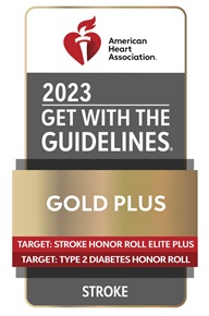 Stroke Get With The Guidelines 2023