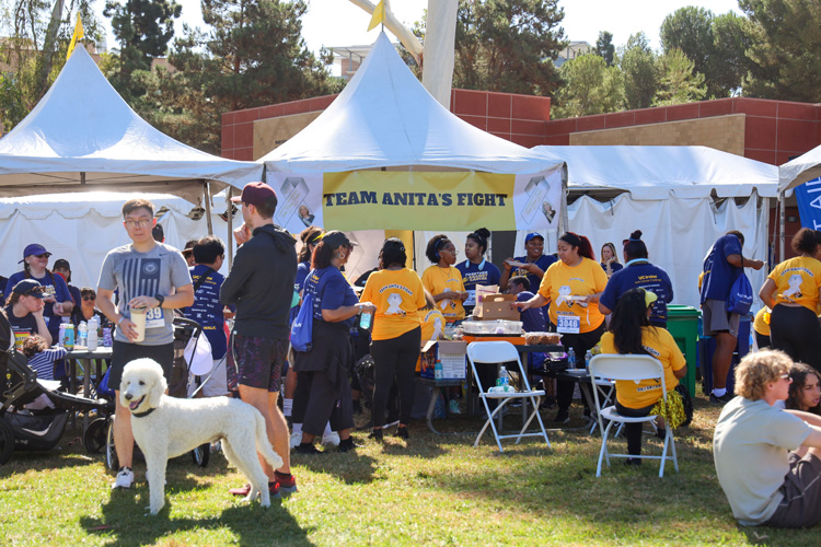 participants in the 2025 uc irvine anti-cancer challenge, including a white poodle, enjoy the festivities