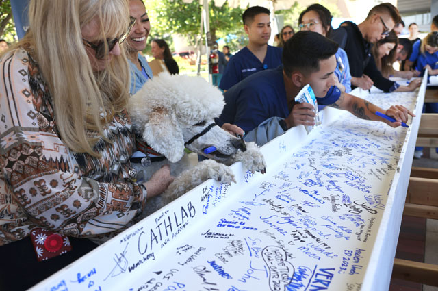 a uci health volunteer and her white pet therapy poodle sign a white beam covered in signatures at a uci medical center event