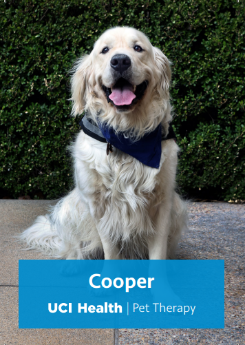 Smiling white dog name text Cooper