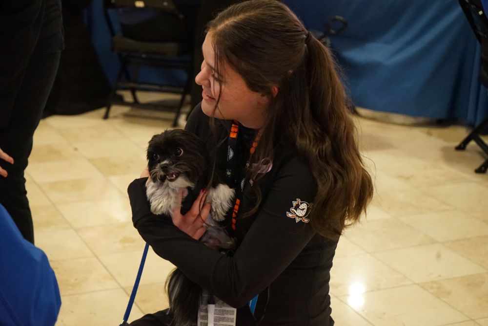 Small black and white dog smiling while coworker holds in arms