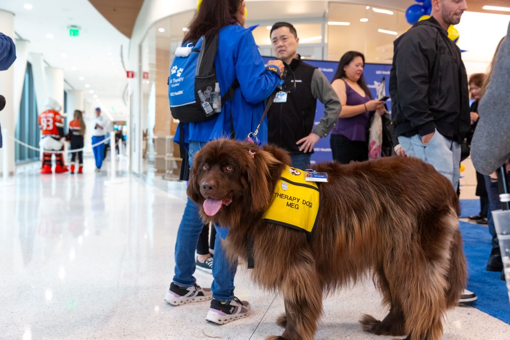 Big brown dog smiling at camera with coworkers around