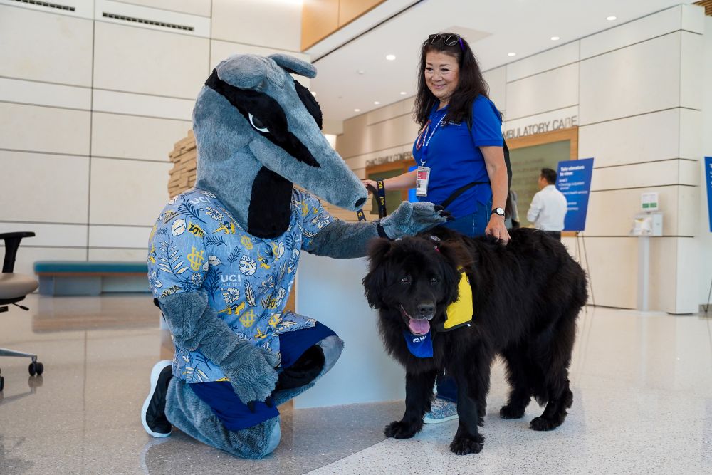 Big black down smiling at camera with handler and UCI mascot Peter the Anteater
