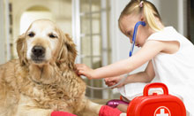 girl with first-aid kit treating dog