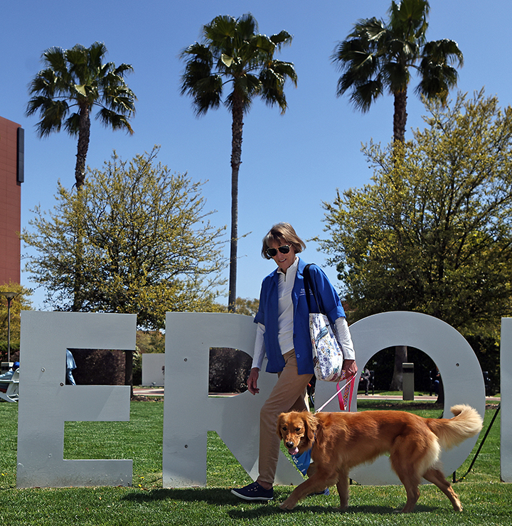 A person walking a golden retriever in a park, with large letters spelling "HEROES" in the background.