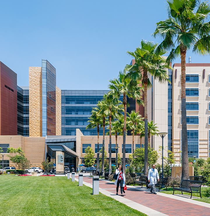 A hospital exterior with a modern design, palm trees, and a grassy area. Two people walk on a paved path, and a vehicle is parked near the entrance.