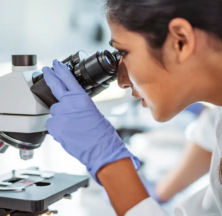 A person in a lab coat and gloves looks through a microscope in a laboratory setting.